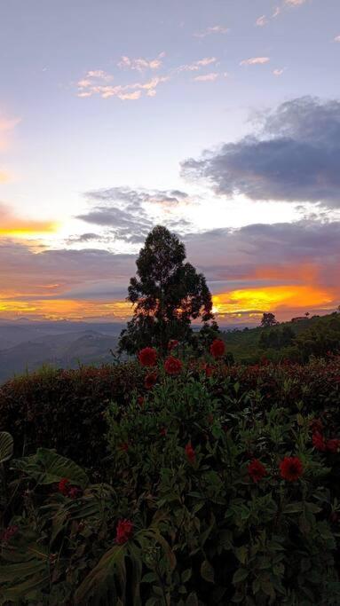 Villamaría Casa Campestre Bellavistaヴィラ エクステリア 写真